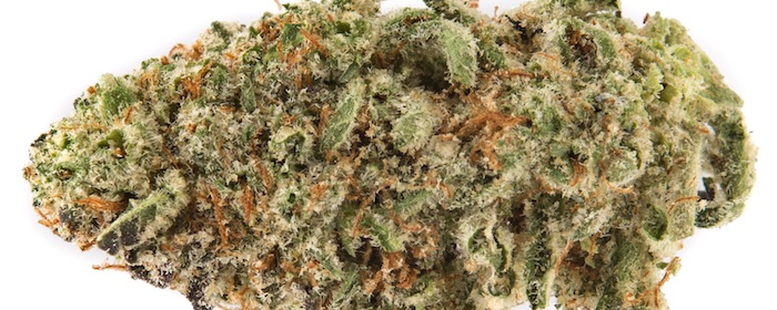 Mendo Breath Weed Strain Information - Leafly