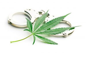 Medible review break in at alaska marijuana operation 150k of product stolen