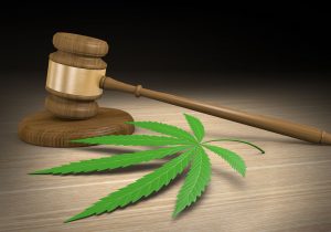 Medible review civil conspiracy lawsuits may be next legal threat for marijuana businesses
