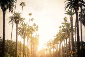 Medible review its not easy but nonresident cannabis entrepreneurs can set up shop in california