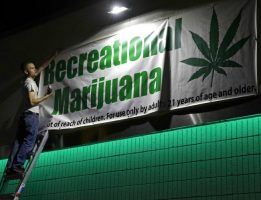 Medible review nevada recreational marijuana sales set record in october hitting nearly 38m