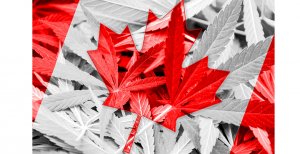 Medible review two companies form canadas first retail focused craft cannabis producer