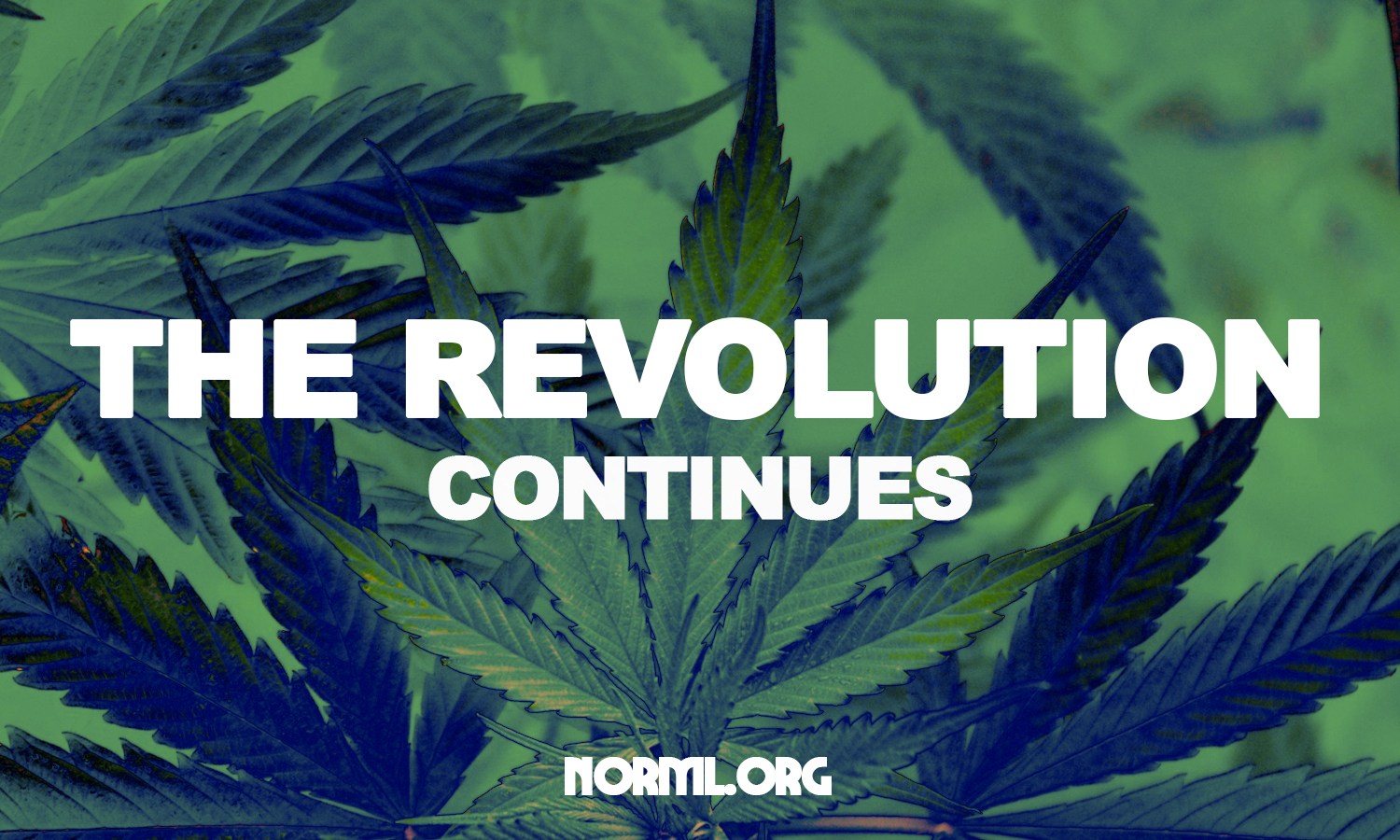 Medible review 2017 a norml year in america