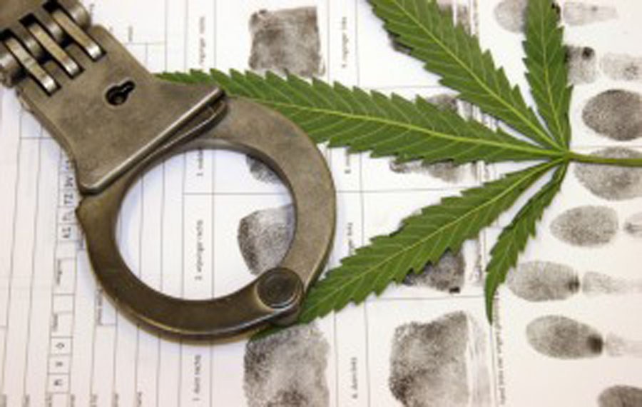 Medible review blacks disproportionately arrested for minor marijuana offenses in buffalo