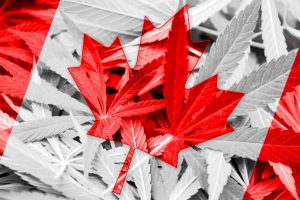 Medible review canada gets first training program for rec cannabis retailer workers