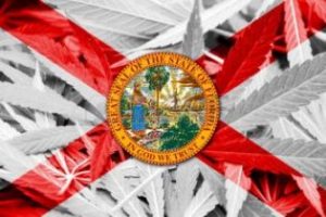 Medible review canadian listed marijuana company buys florida mmj license holder for 48m