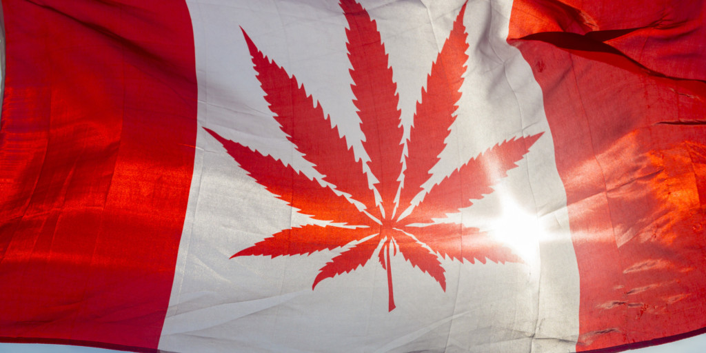 Medible review canadians spent an estimated 5 7 billion on cannabis last year