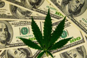 Medible review cannabis compliance firm simplifya secures first stage of 3 million raise
