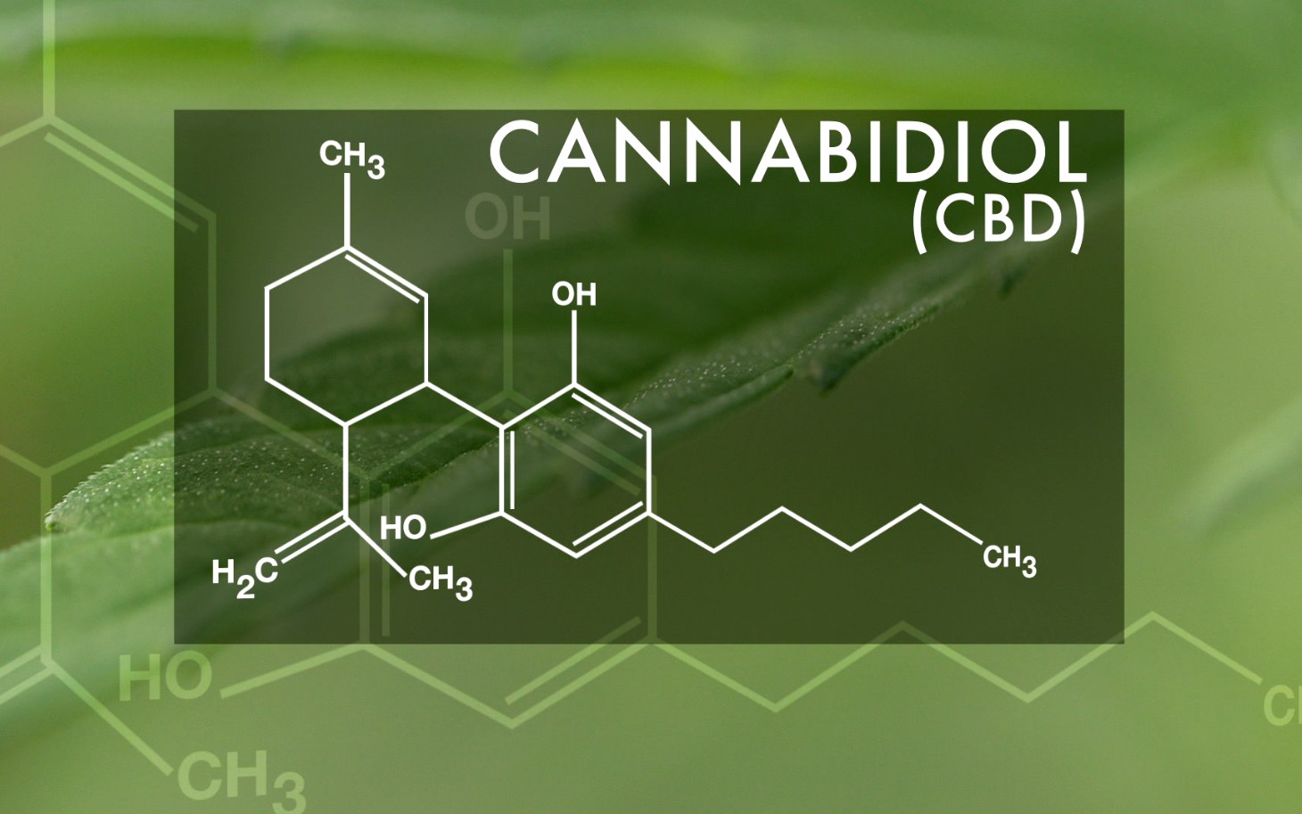 Medible review cbd effective as adjunctive therapy for psychosis study finds