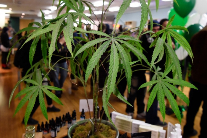 Medible review could legal recreational pot boost your home price