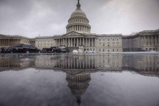 Medible review federal marijuana bills boosted by new supporters as congress gets back to work