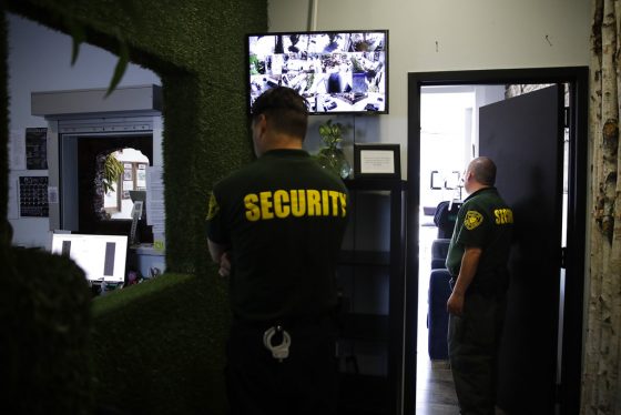 Medible review marijuana terrorism and organized labor fuel 17 surge in security guard wages
