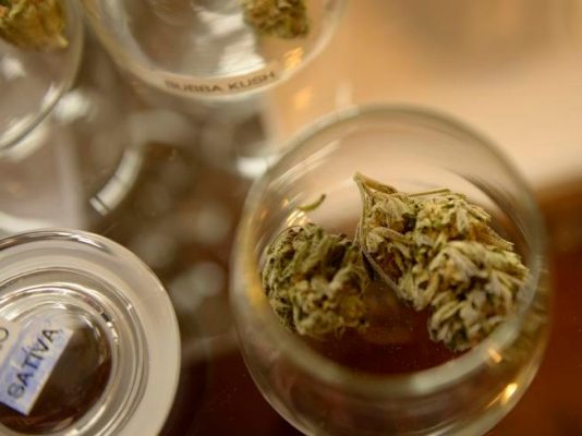 Medible review bill licensing marijuana tasting rooms introduced in colorado legislature