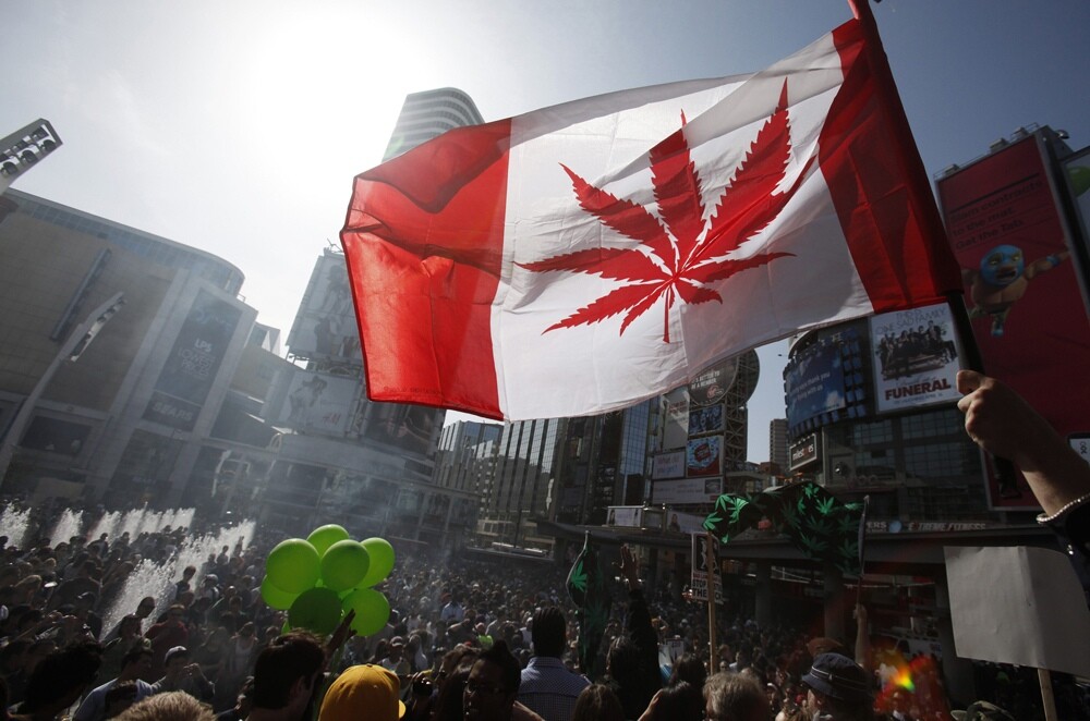 Medible review canada experiencing delays in recreational marijuana rollout