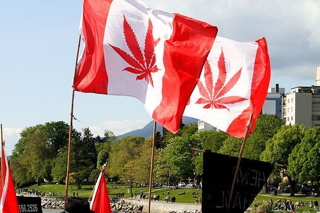 Medible review canadian cannabis companies set their sights on south america