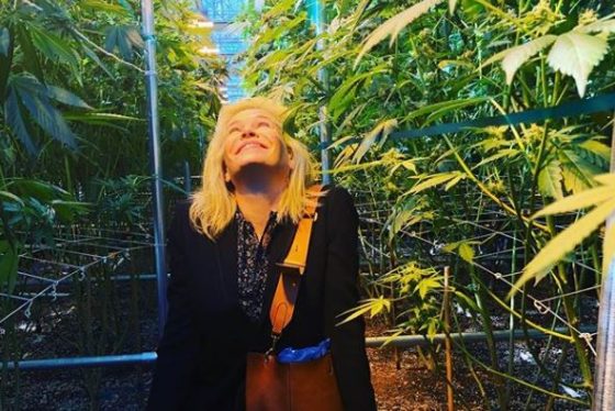 Medible review chelsea handler announces her own marijuana brand on instagram
