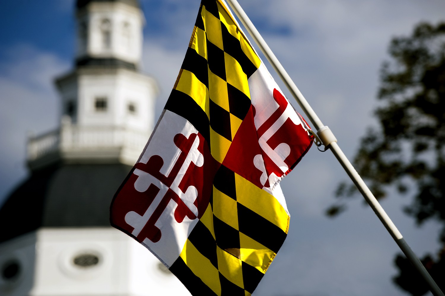 Medible review marylands marijuana expungement law takes effect