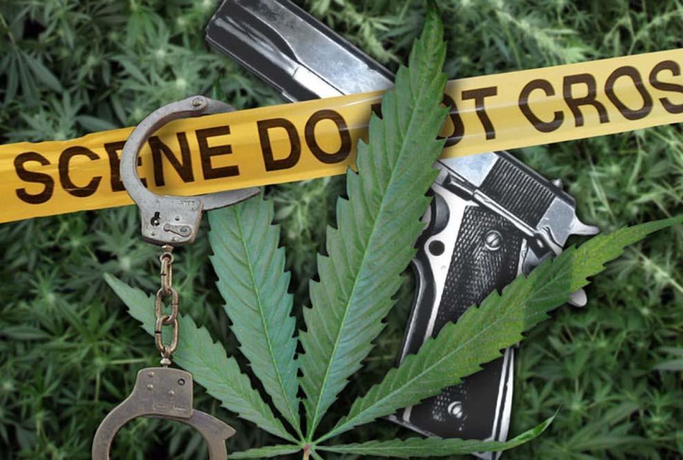 Medible review medical marijuana programs associated with reductions in violent crimes