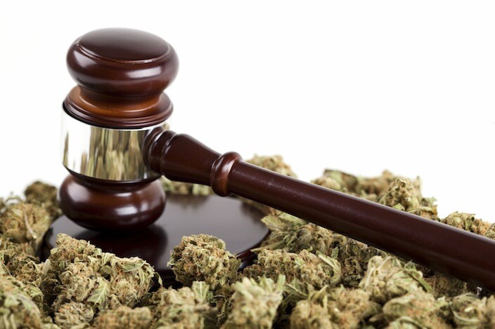 Medible review new york judge dismisses challenge to federal marijuana laws