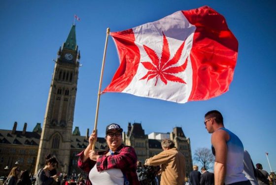 Medible review recreational marijuana legalization delayed in canada
