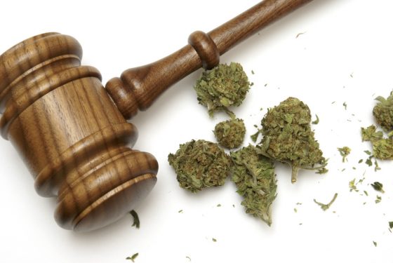 Medible review vermont lawmakers consider marijuana conviction expungement measure
