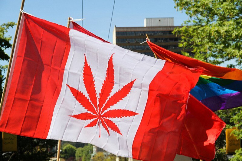 Medible review very few canadians engage in problematic cannabis use study finds