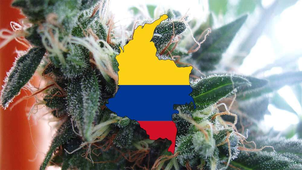 Medible review colombia wants to become worlds biggest legal cannabis supplier