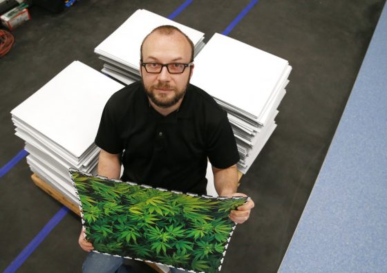 Medible review marijuana entrepreneurs hope for green in reliably red