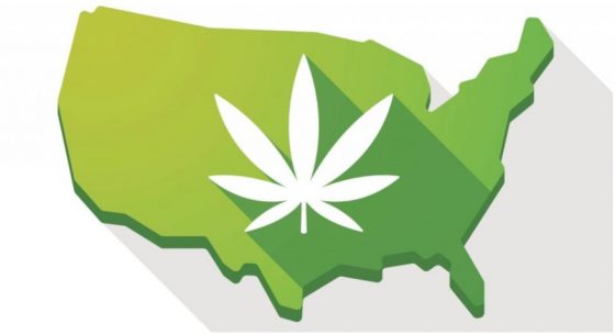 Medible review report patchwork of state laws leaving some medical marijuana patients behind