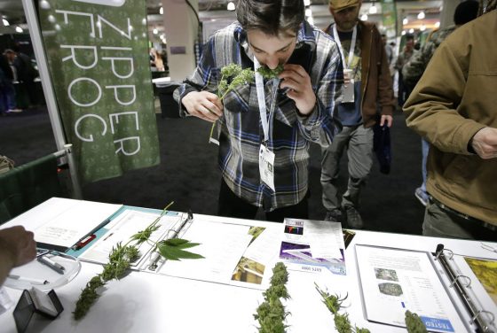 Medible review surprise marijuana shows up at marijuana business convention despite ban