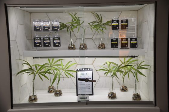 Medible review this colorado dispensary has a 270 degree viewing window into its grow 14