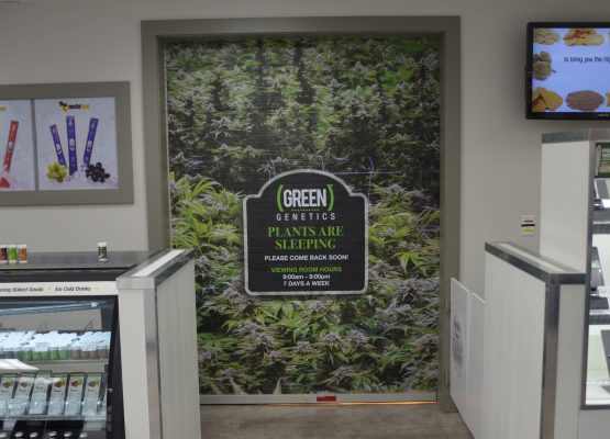 Medible review this colorado dispensary has a 270 degree viewing window into its grow 33