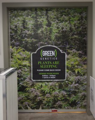 Medible review this colorado dispensary has a 270 degree viewing window into its grow 34