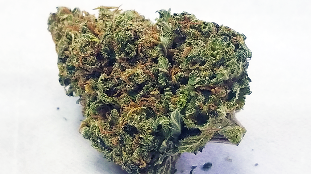 Jungle Nugs Strain Review Medible Review