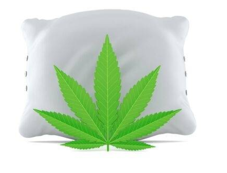 Medible review cannabis pillow