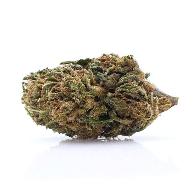 Special Sauce CBD Flower