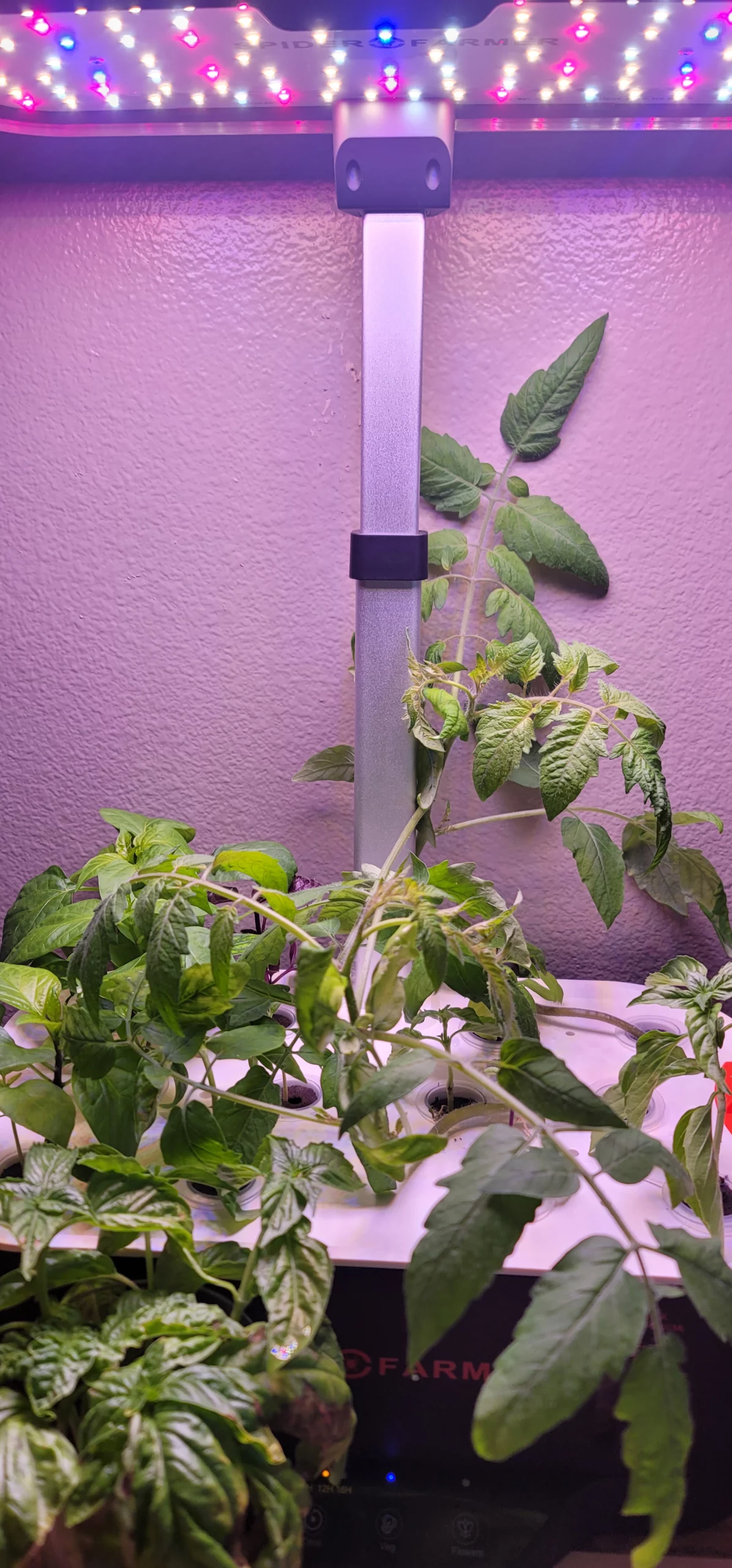 Spider Farmer Smart G12 Indoor Hydroponic Grow System